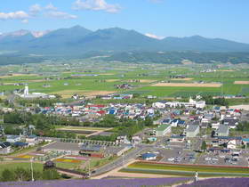 町營薰衣草園