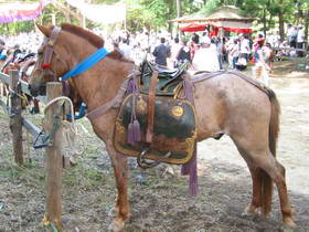 八戶三社大祭馬匹