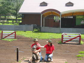 Sheep & Dog Show