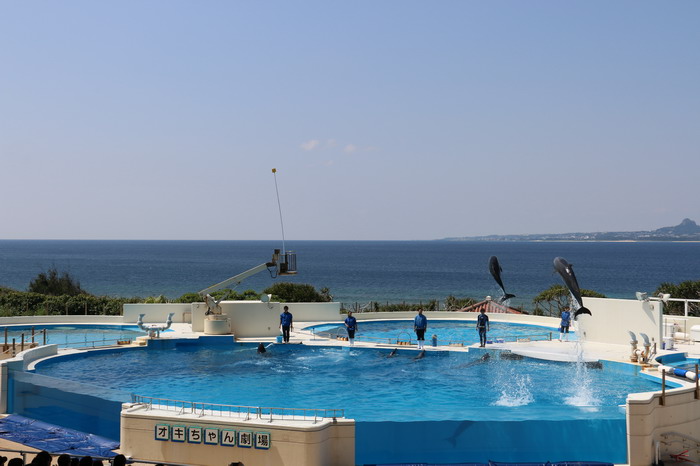 美ら海水族館