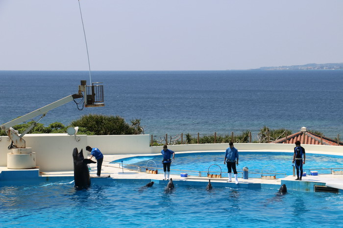 美ら海水族館