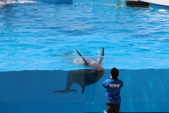 美ら海水族館