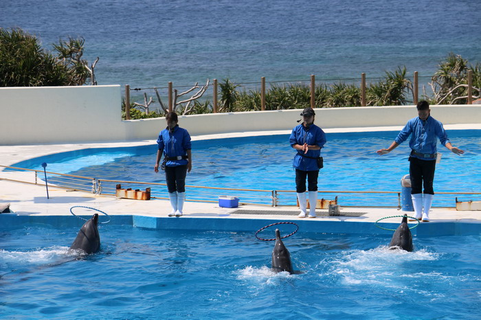 美ら海水族館