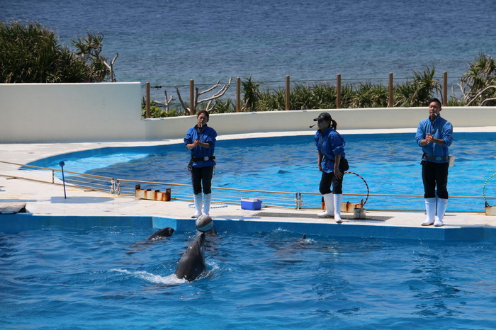 美ら海水族館