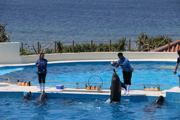 美ら海水族館