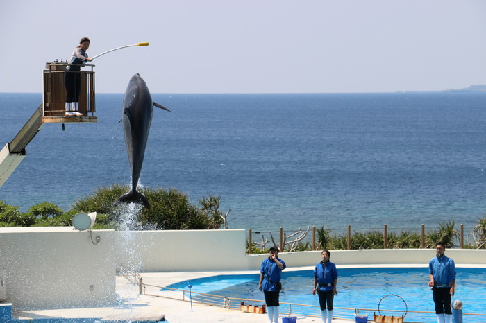 美ら海水族館