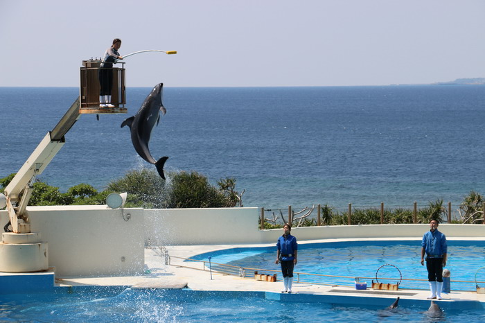 美ら海水族館