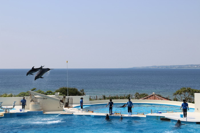 美ら海水族館