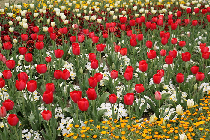 群馬花卉公園