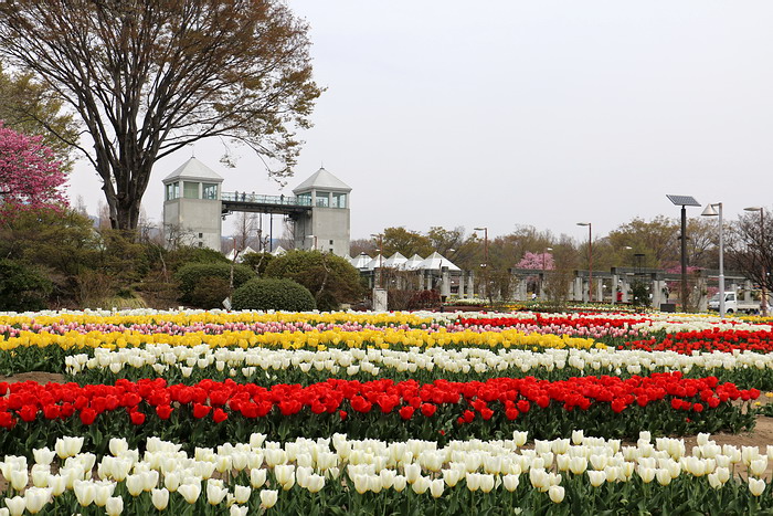 群馬花卉公園