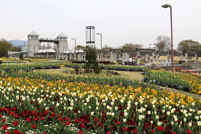 群馬花卉公園