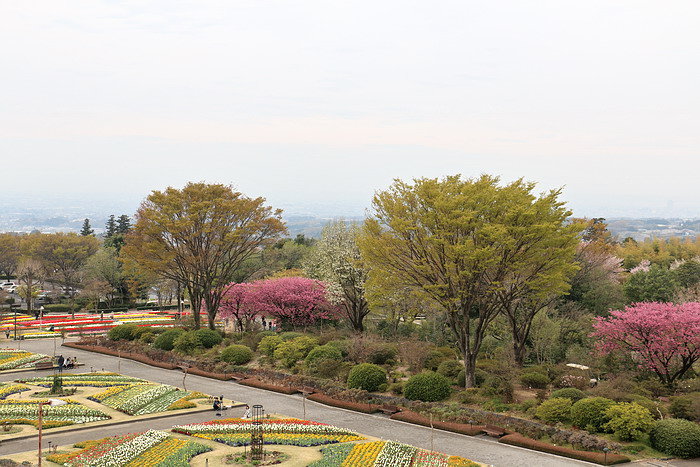 群馬花卉公園