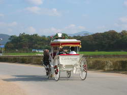 園內馬車